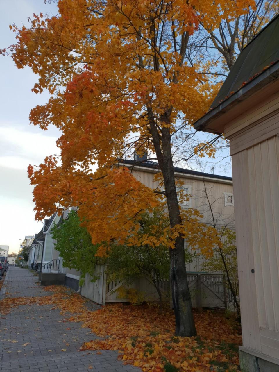 Matin Ja Maijan Majatalo Bed & Breakfast Hameenlinna
